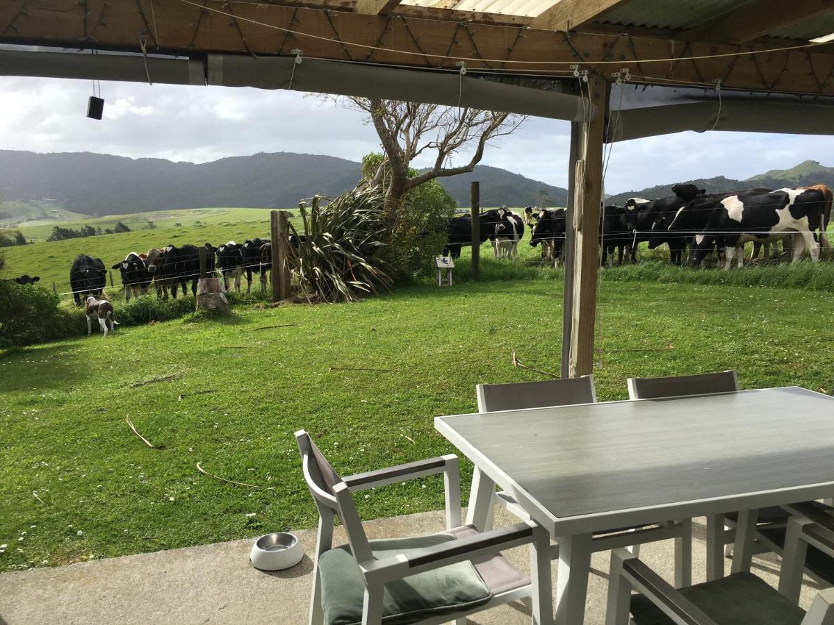 Chalet Cullen, Mangawhai Exterior foto